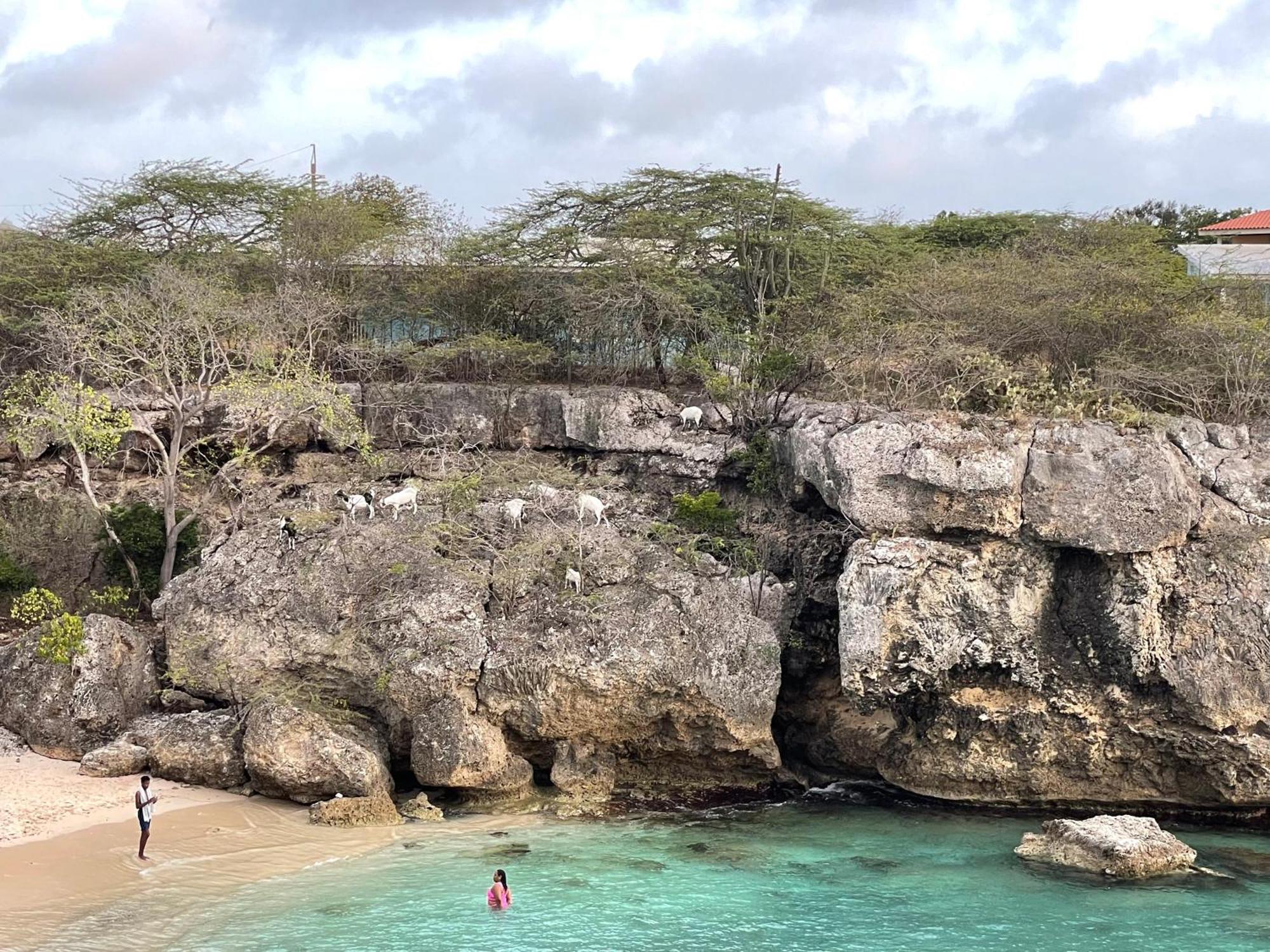 WestpuntFinisterre Curacao别墅 外观 照片