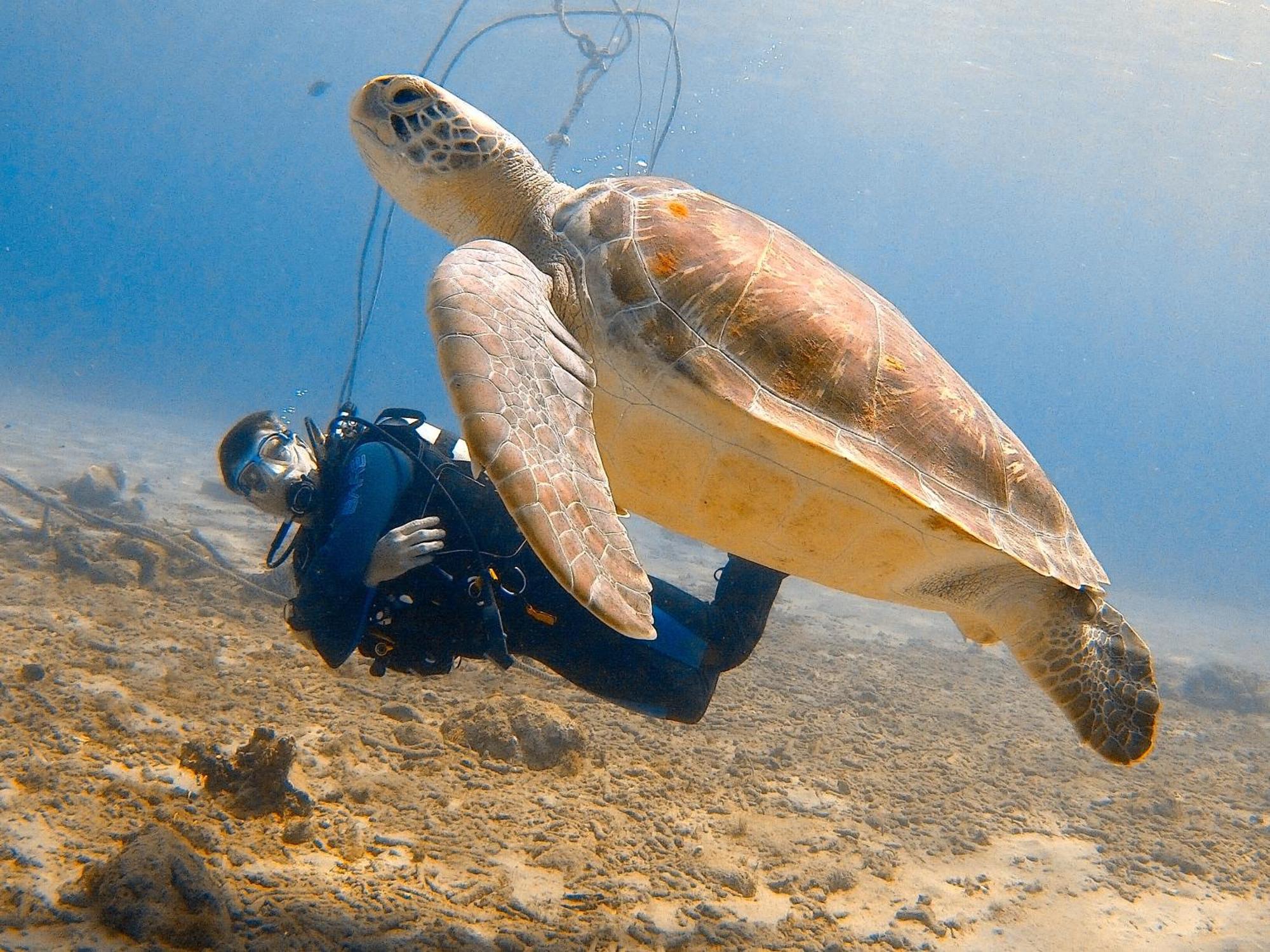 WestpuntFinisterre Curacao别墅 外观 照片