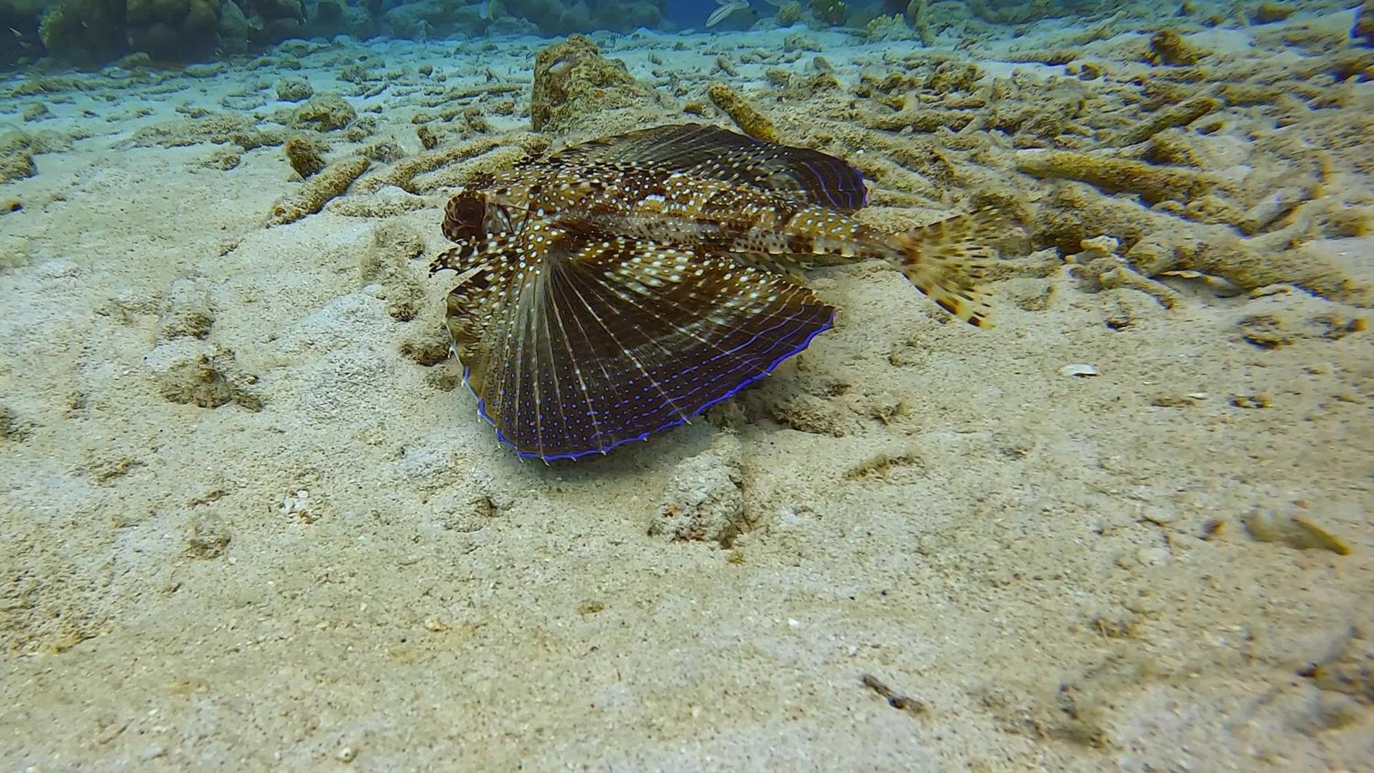 WestpuntFinisterre Curacao别墅 外观 照片